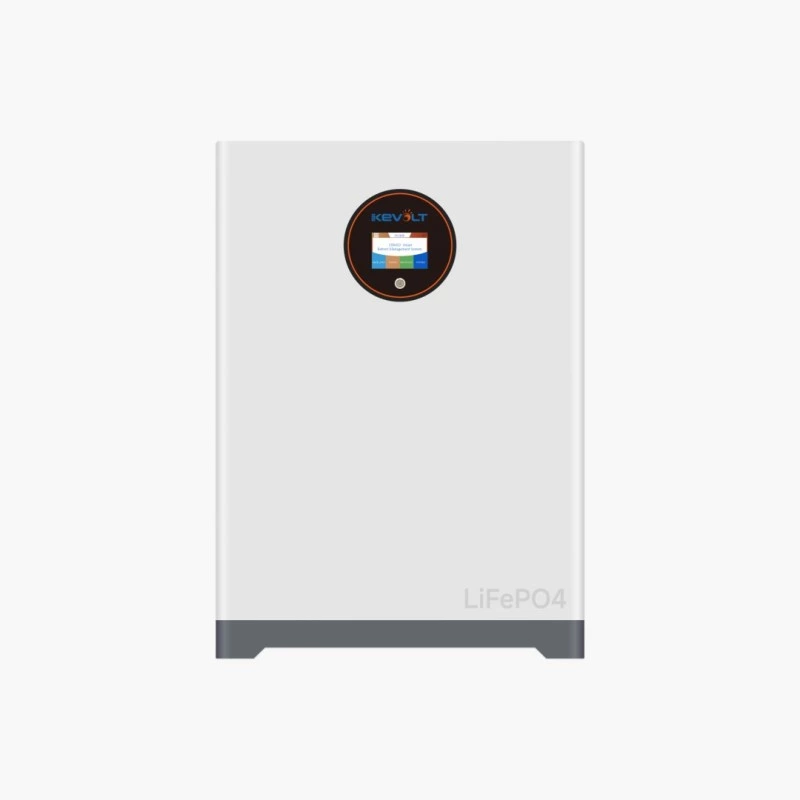 10.24kWh Wall/Floor Mounted Battery ( 51.2V 200Ah Module IP54 Bluetooth and Wi-Fi )