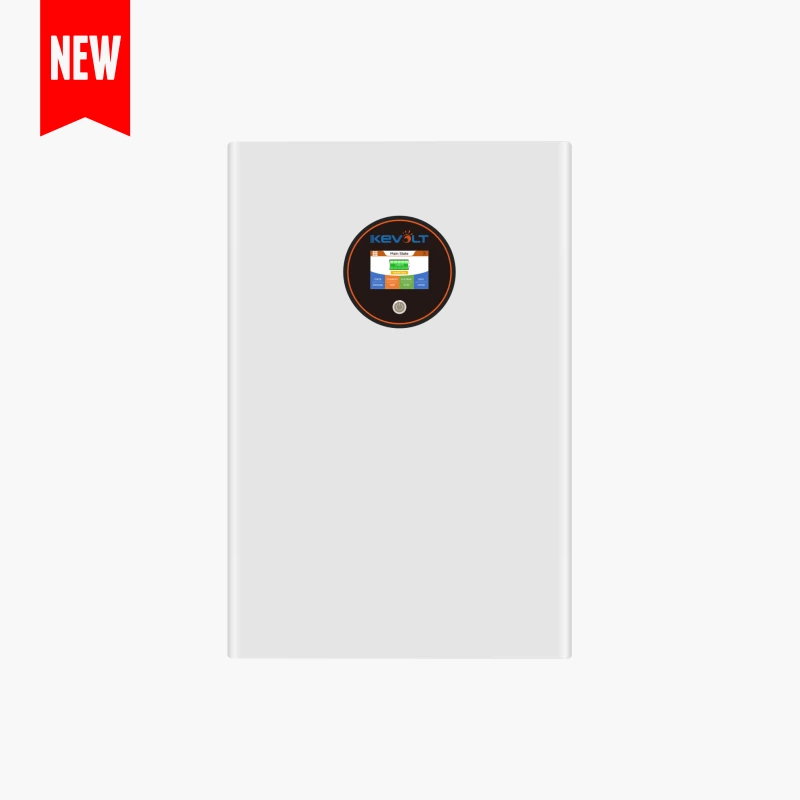 10.24kWh Wall Mounted Battery ( 51.2V 200Ah Module )