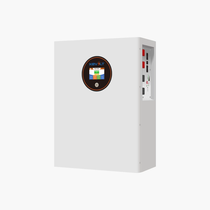 5.12kWh Wall Mounted Battery ( 51.2V 100Ah Module )